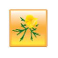 Выставка Flowers. Seeds. Garden. Kitchen Garden. 2012